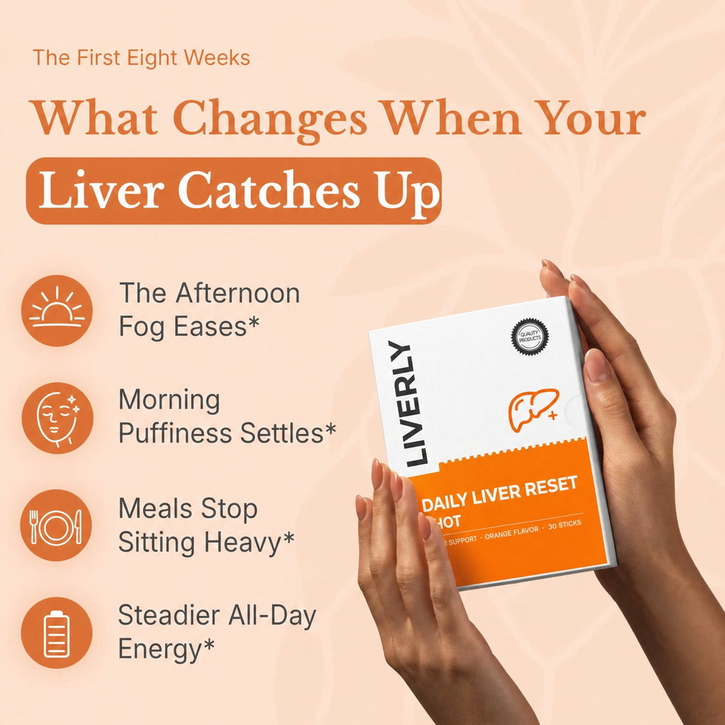 The first 8 weeks with LIVERLY — afternoon fog eases, morning puffiness settles, steadier energy