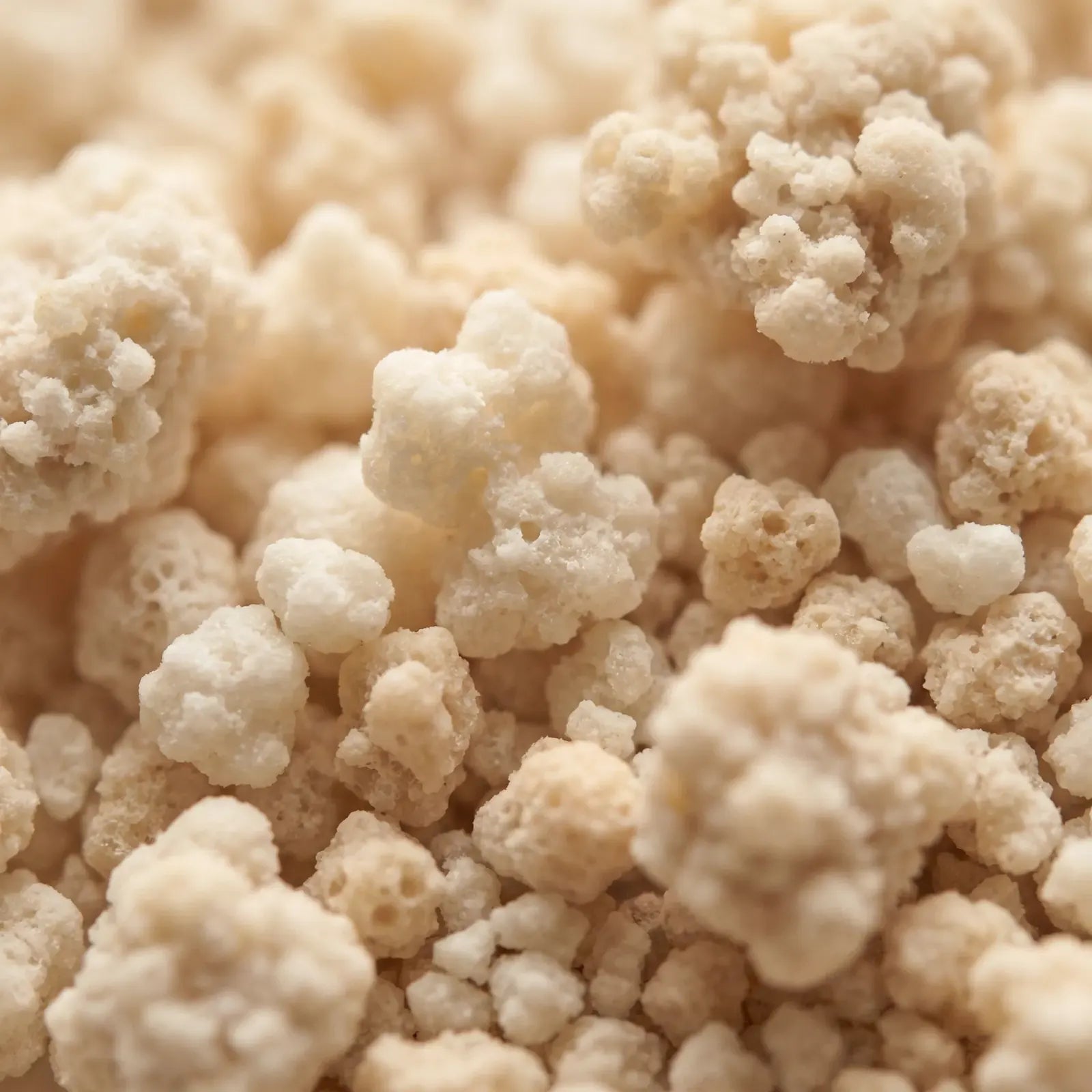 Probiotic blend